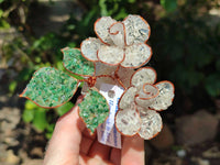 Hand Made Gemstone Double Rose Medium - Sold Per Piece - From South Africa - Toprock Gemstones and Minerals