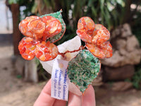 Hand Made Gemstone Double Rose Large - Sold Per Piece - From South Africa - Toprock Gemstones and Minerals