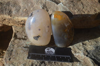 Polished Dendritic Agate Standing Free Forms  x 6 From Madagascar - Toprock Gemstones and Minerals