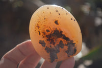 Polished Dendritic Agate Standing Free Forms  x 6 From Madagascar - Toprock Gemstones and Minerals