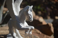 Polished White Marble Pegasus Carving x 1 From Zimbabwe - Toprock Gemstones and Minerals