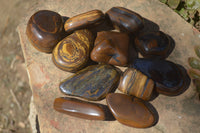 Polished Golden Tigers Eye Free Forms x 12 From Prieska, Northern Cape - Toprock Gemstones and Minerals