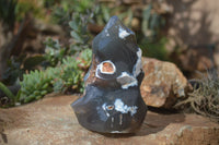 Polished Orca Agate Flame Sculpture  x 1 From West Coast, Madagascar - Toprock Gemstones and Minerals
