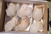 Natural Candle Quartz Crystal Point Specimens x 6 From Madagascar - Toprock Gemstones and Minerals