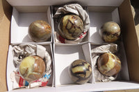 Polished Septaria (Calcite & Aragonite) Spheres  x 6 From Madagascar - Toprock Gemstones and Minerals