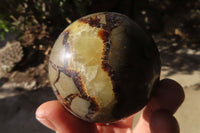 Polished Septaria (Calcite & Aragonite) Spheres  x 6 From Madagascar - Toprock Gemstones and Minerals