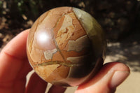 Polished Septaria (Calcite & Aragonite) Spheres  x 6 From Madagascar - Toprock Gemstones and Minerals