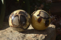 Polished Septaria Spheres x 4 From Mahajanga, Madagascar - Toprock Gemstones and Minerals