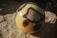 Polished Septaria Spheres x 4 From Mahajanga, Madagascar - Toprock Gemstones and Minerals