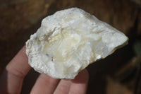 Natural Rough Dendritic White Opal Specimens  x 12 From Namibia - Toprock Gemstones and Minerals