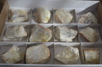 Natural Rough Dendritic White Opal Specimens  x 12 From Namibia - Toprock Gemstones and Minerals