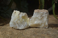 Natural Rough Dendritic White Opal Specimens  x 12 From Namibia - Toprock Gemstones and Minerals