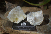 Natural Rough Dendritic White Opal Specimens  x 12 From Namibia - Toprock Gemstones and Minerals