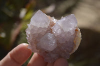 Natural Spirit Quartz Clusters x 12 From Boekenhouthoek, South Africa - Toprock Gemstones and Minerals