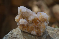 Natural Spirit Quartz Clusters x 12 From Boekenhouthoek, South Africa - Toprock Gemstones and Minerals