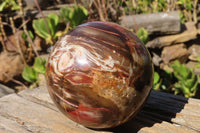 Polished Petrified Red Podocarpus Wood Spheres x 2 From Mahajanga, Madagascar - Toprock Gemstones and Minerals