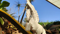 Polished White Marble Pegasus Carving x 1 From Zimbabwe - Toprock Gemstones and Minerals