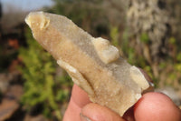 Natural Fairy Spirit Quartz Specimens x 70 From Boekenhouthoek, South Africa - Toprock Gemstones and Minerals