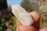Natural Fairy Spirit Quartz Specimens x 70 From Boekenhouthoek, South Africa - Toprock Gemstones and Minerals