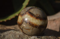 Polished Septeria (Calcite & Aragonite) Spheres x 6 From Madagascar - Toprock Gemstones and Minerals