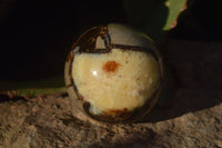 Polished Septeria (Calcite & Aragonite) Spheres x 6 From Madagascar - Toprock Gemstones and Minerals