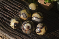Polished Septeria (Calcite & Aragonite) Spheres x 6 From Madagascar - Toprock Gemstones and Minerals