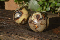 Polished Septeria (Calcite & Aragonite) Spheres x 6 From Madagascar - Toprock Gemstones and Minerals