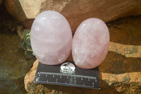 Polished Pink Rose Quartz Standing Free Forms x 6 From Madagascar - Toprock Gemstones and Minerals