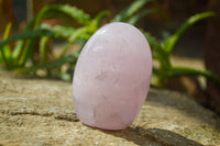 Polished Pink Rose Quartz Standing Free Forms x 6 From Madagascar - Toprock Gemstones and Minerals