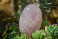 Polished Pink Rose Quartz Standing Free Forms x 6 From Madagascar - Toprock Gemstones and Minerals