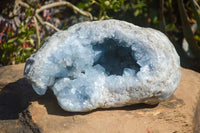 Natural Blue Celestite Geode Specimen  x 1 From Sakoany, Madagascar - Toprock Gemstones and Minerals