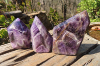 Polished Chevron Amethyst Points x 6 From Zambia - Toprock Gemstones and Minerals