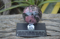 Polished Rhodonite Spheres  x 4 From Ambindavato, Madagascar - Toprock Gemstones and Minerals