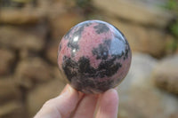 Polished Rhodonite Spheres  x 4 From Ambindavato, Madagascar - Toprock Gemstones and Minerals