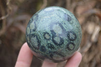 Polished Stromatolite Spheres  x 4 From Katsepy, Madagascar - Toprock Gemstones and Minerals