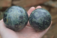 Polished Stromatolite Spheres  x 4 From Katsepy, Madagascar - Toprock Gemstones and Minerals
