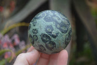 Polished Stromatolite Spheres  x 4 From Katsepy, Madagascar - Toprock Gemstones and Minerals