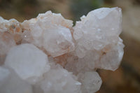 Natural Spirit Quartz Specimens  x 3 From South Africa - Toprock Gemstones and Minerals
