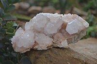 Natural Spirit Quartz Specimens  x 3 From South Africa - Toprock Gemstones and Minerals