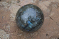 Polished Labradorite Spheres  x 2 From Madagascar - Toprock Gemstones and Minerals