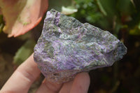 Natural Rough Stichtite & Serpentine Specimens x 12 From South Africa - Toprock Gemstones and Minerals
