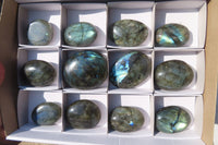 Polished Labradorite Galets / Palm Stones x 12 From Tulear, Madagascar - Toprock Gemstones and Minerals