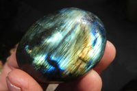 Polished Labradorite Galets / Palm Stones x 12 From Tulear, Madagascar - Toprock Gemstones and Minerals