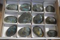 Polished Labradorite Galets / Palm Stones x 12 From Tulear, Madagascar - Toprock Gemstones and Minerals