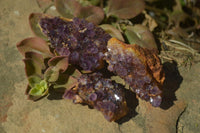 Natural Amethyst Plates x 35 From Kwaggafontein, South Africa - Toprock Gemstones and Minerals