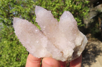 Natural Spirit Quartz Clusters x 6 From Boekenhouthoek, South Africa - Toprock Gemstones and Minerals