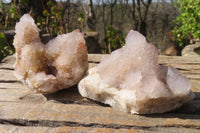 Natural Spirit Quartz Clusters x 6 From Boekenhouthoek, South Africa - Toprock Gemstones and Minerals