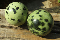 Polished Leopard Stone Spheres x 2 From Inyanga, Zimbabwe - Toprock Gemstones and Minerals