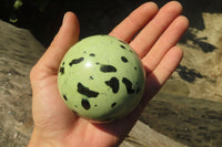 Polished Leopard Stone Spheres x 2 From Inyanga, Zimbabwe - Toprock Gemstones and Minerals