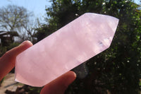 Polished Rose Quartz Points x 6 From Madagascar - Toprock Gemstones and Minerals